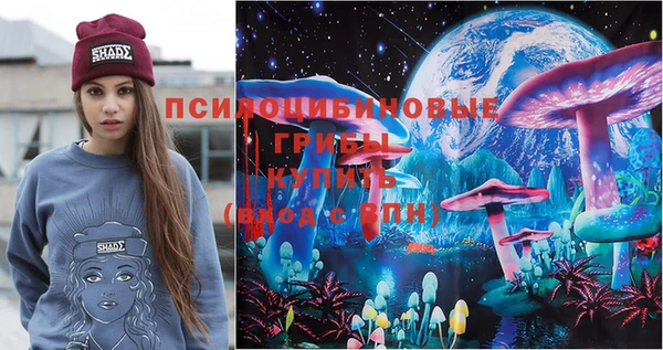 экстази Арсеньев
