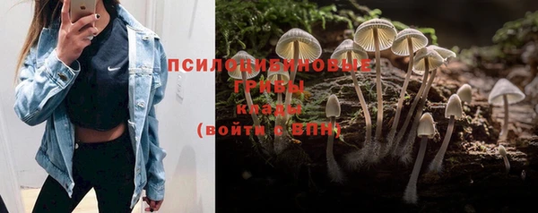 экстази Арсеньев
