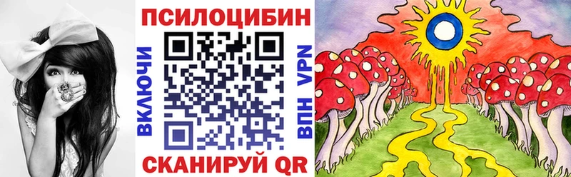 hydra как зайти  даркнет сайт  Константиновск  Галлюциногенные грибы Psilocybe 